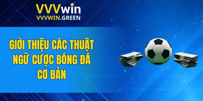 Tiểu Tiên Cá – Kinh Nghiệm Săn Thưởng Dễ Dàng Nhất 2025 5 Giới thiệu các thuật ngữ cược bóng đá cơ bản