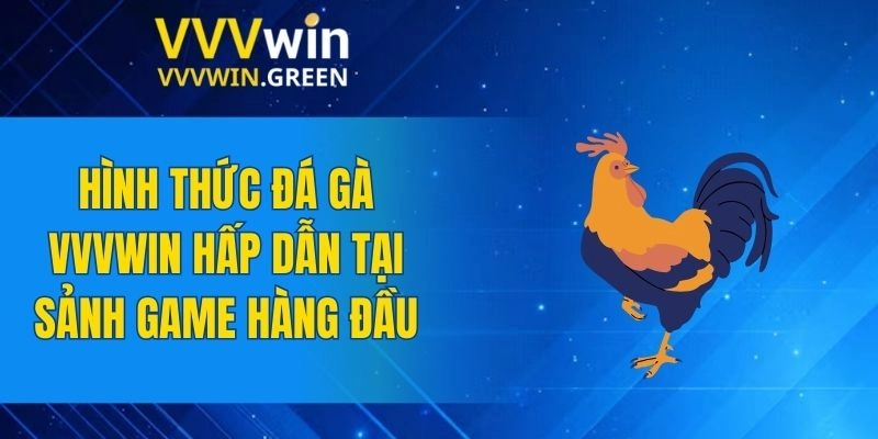 Đá Gà VVVWIN 6 Hình thức đá gà VVVWIN hấp dẫn tại sảnh game hàng đầu