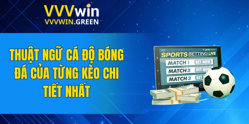 Tiểu Tiên Cá – Kinh Nghiệm Săn Thưởng Dễ Dàng Nhất 2025 6 Thuật ngữ cá độ bóng đá của từng kèo chi tiết nhất