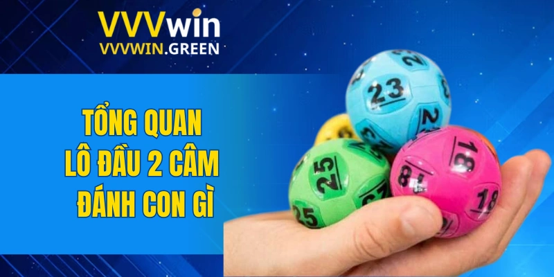 Tiểu Tiên Cá – Kinh Nghiệm Săn Thưởng Dễ Dàng Nhất 2025 5 Tổng quan lô đầu 2 câm đánh con gì