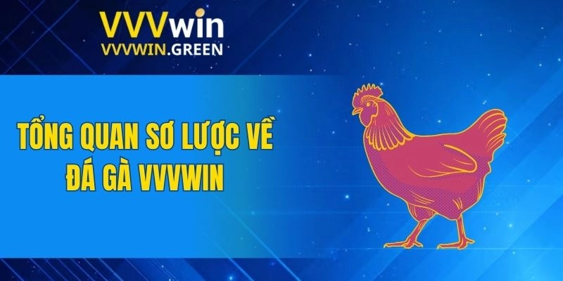 Đá Gà VVVWIN 4 Tổng quan sơ lược về đá gà VVVWIN